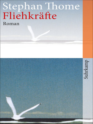 cover image of Fliehkräfte